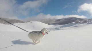 Snowshoe running - South Velebit - Outdoors Croatia