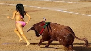 Most Awesome BullFighting Festival #6 😬 Best funny videos try not to laugh 😅 Funny Pranks 2017