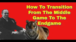 How To Transition From The Middle Game To The Endgame | Nimzowitsch vs Stahlberg: Gothenburg 1934