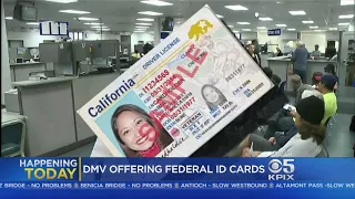 California Begins Offering 'Real ID' Driver's Licenses