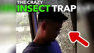 The Crazy Insect Trap | Planet Warriors Ep4 | Nas Daily