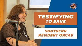 Testimony on Saving Southern Resident Orcas