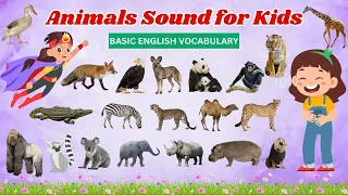 Learn Animals Sound - Animal Sound and Name in English - Animals Picture with Sound by Moko Loko Tv