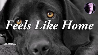 Feels Like Home | Diana Krall Karaoke