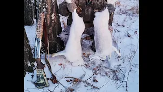 Охота на зайца   Очередной выезд  Мороз и пороша  Ноябрь 2021г