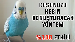 KUŞUNUZU KESİN KONUŞTURACAK YÖNTEM | SADECE DİNLETİN KONUŞSUN | MUHABBET KUŞU KONUŞTURMA