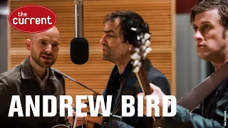 Andrew Bird - full session from 2016