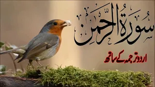 SURAH RAHMAN TARJUMA KE SATH QARI AL SHAIKH ABDUL BASIT ABDUL SAMAD