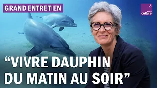 Plongée dans l'intelligence des dauphins : grand entretien avec l'éthologue Fabienne Delfour