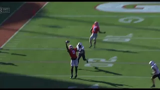 Georgia Bulldogs tight end Darnell Washington is a UNICORN!