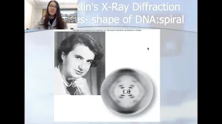 Molecular Genetics Lecture 1- DNA and RNA