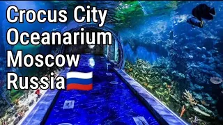 A Journey around Crocus City Oceanarium Moscow Russia🇷🇺|Путешествие по океанариуму Крокус Сити
