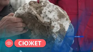 Останки древних животных обнаружили в Хангаласском районе Якутии