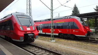 2x Rostock S-Bahn mit BR442& Fahrplan in Warnemüde: S3 Warnemüde,S1 Rostock Hbf