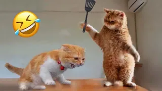 Funniest Animals 2023 😅 New Funny Cats and Dogs Videos 😹🐶 Part24