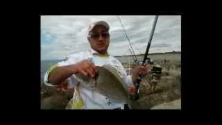 Pêche daurades dorada surfcasting 2012 Team AWA-SHIMA FRANCE by sud-est-appâts