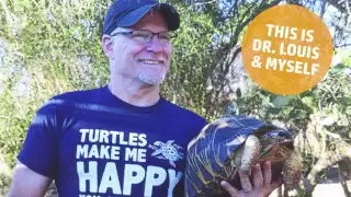TortoiseCam 2016: Part 2