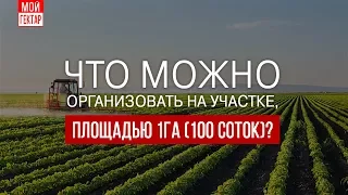 Что можно организовать на участке площадью 1 га (100 соток)?