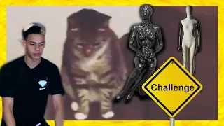 THE BEST MANNEQUIN CHALLENGES