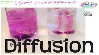 Diffusion | Revision for Biology GCSE and IGCSE