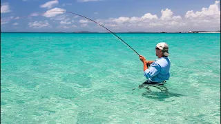 Australian Saltwater Fly Fishing Paradise (with crocs!)