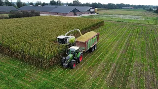 Loonbedrijf Schimmel Overberg.  Claas Jaguar 850 Maïs hakselen-Corn silage-Maisernte #claas #fendt