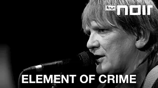 Element of Crime - Am Ende denk ich immer nur an dich (live bei TV Noir)