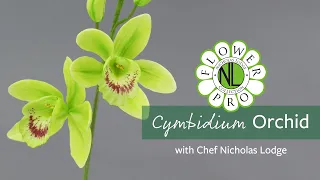 Cymbidium Orchid | Make Flower Pro Ultimate Orchids For Cakes & Crafts Part 3