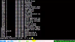 How to find the process id in Linux