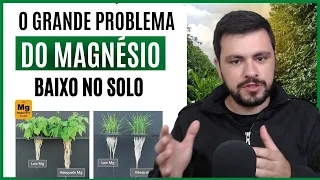 Já olhou o nível de MAGNÉSIO no solo? Como podemos corrigir?