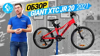 ОБЗОР ВЕЛОСИПЕДА GIANT XTC JR 20 2021