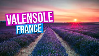 VALENSOLE, lavender fields of Provence, France (Sunset on the Valensole Plateau in Provence)