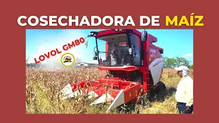 COSECHADORA COMBINADA DE MAÍZ LOVOL GM80 | Componentes, Funcionamiento… Ing. Fausto Taveras