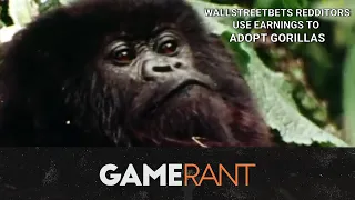 GameStop Stock Winners on Reddit Are Adopting Gorillas