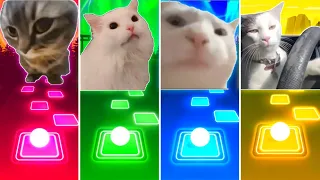 Chipi Chipi Chapa Chapa Cat vs Coffin Dance Cat vs Vibing Cat vs Driving Cat - Tiles Hop EDM Rush