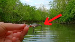 Creek Fish LOVE TINY CRANKBAITS!! | Ohio Suburban Creek Fishing