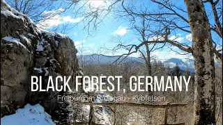 Hiking from Freiburg im Breisgau to Kybfelsen | Black Forest [Germany] | 4K