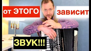 БЕСПЛАТНЫЙ видео урок Аккордеона - Как играть на Аккордеоне правильно с Нуля -  школа Аккордеона