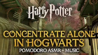 2h Study ALONE in HOGWARTS 👤🏰 Harry Potter Pomodoro Session, Hogwarts ASMR Ambient Sounds Timer