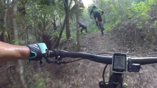 Florida Mountain Biking!  Vortex Loop at Santos Bike Trails.