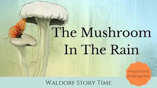 The Mushroom In The Rain | A Children's Waldorf Story