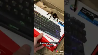 Мне в посылку подкинули большого ПАУКА 🕷😱