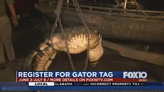 Gator hunting season coming up in Alabama