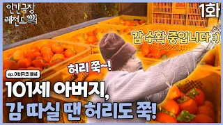 [인간극장 레전드 #254-1] 101세 아버지, 감🍅 따실 땐 허리도 쭉! | 아버지의 들녘 (1/5) [KBS 121210-121214 방송]