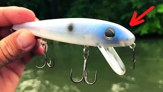DON'T Go Fishing WITHOUT These 5 LURES In JUNE