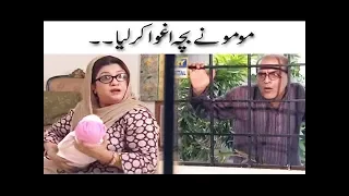 Momo Ne Baccha Aghwa Karliya - Mehmood Sahab | Bulbulay