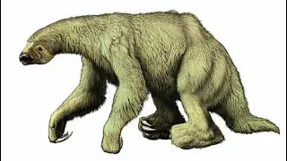 14 Facts about giant ground sloths