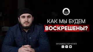 КАК МЫ БУДЕМ ВОСКРЕШЕНЫ |Мухаммад Мачилаев #алимы_батлуха