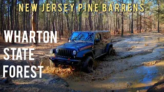 Wharton State Forest - Exploring the New Jersey Pine Barrens Overland - Jeep JK Rubicon Recon