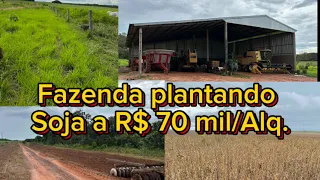 Fazenda a venda no Tocantins plantando soja na região de Santa Maria TO